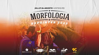 Morfologia da Expointer - Categorias Cavalo Menor e Cavalo Adulto (25/08/2022)