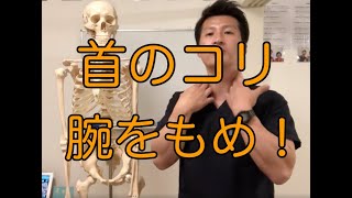 肩こりや首のコリは腕のマッサージ！　福岡県福岡市　整体院帆花−HONOKA