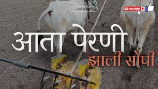 अशी करा टोकन पद्धतीने बेडवर पेरणी