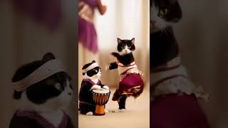 Meet the Belly Dancing Cat – The Cutest Performance Ever! 🐱💃🤣