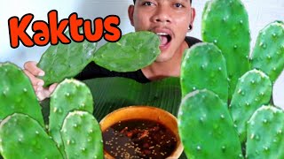 MUKBANG RUJAK KAKTUS CENTONG TERNYATA BEGINI RASANYA❗ 😱