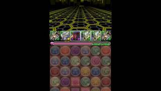 【パズドラ】セラフィス降臨 劉備マルチ 周回 光吸収対策有！！覚醒無効解除有！！