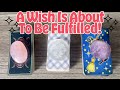 Your Wish Is Being Fulfilled!  ✨ Tarot Pick A Card Reading