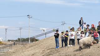 千年希望の丘　CM収録 ドローンを飛ばす