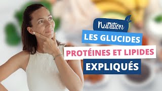 COMPRENDRE les glucides, protéines et lipides : Les macronutriments clés pour la santé