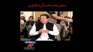 یہ بھی عجیب قسم کی مخلوق ہے #shorts #ytshorts #shortsyoutube #maryamnawaz