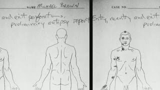 Ferguson jury considers conflicting forensics