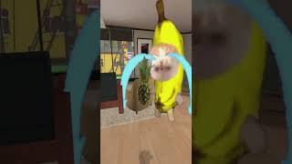 バナナ猫はパイナップルがきらい【GMOD】🍌😹🍍