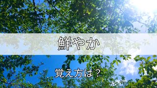 手話単語【 鮮やか 】覚え方は？😄