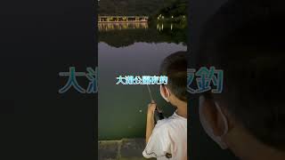 夜釣 ｜大湖公園釣魚