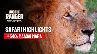 Safari Highlights #540: 20 & 21 December 2019 | Maasai Mara/Zebra Plains | Latest Wildlife Sightings