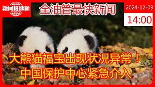 大熊猫福宝出现状况异常！中国保护中心紧急介入