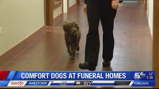 Comfort dogs stepping into Tri-Cities area funeral homes