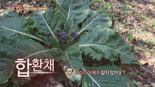 성지 순례 프로그램 - 성서 700 도시여행- 23회 \