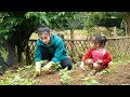 Vegetable Garden Care, Harvesting, Rustic Cooking, Mountain Life