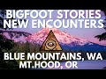 30 Years of Bigfoot Stories with Rick Rasmor