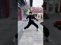 Tai Chi skills#taichi #taijiquan #kungfu #wushu #sports #shorts