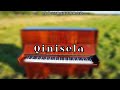 Qinisela- Makhadzi & Master KG New Hit Song 2026 [feat Goon flavour 