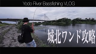 城北ワンド攻略 －ながやんチャンネル－ 淀川 バス釣り VLOG 情熱大陸