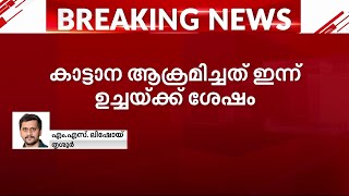 തൃശ്ശൂരിൽ കാട്ടാന ആക്രമണത്തിൽ സ്ത്രീ മരിച്ചു | Thrissur | Man Vs Wild