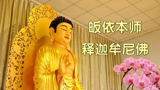 皈依本师释迦牟尼佛圣号    Taking Refuge in Shakyamuni Buddha    [唯佛宗世界人乘佛教]