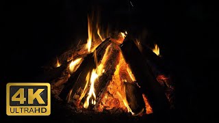Campfire Background 4k Night - Campfire With Crackling Fire Sounds in the Dar