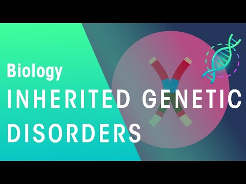 What are the four types of genetic diseases?