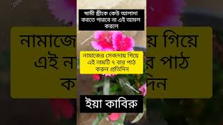 প্রতিদিন এই আমল করুন #shorts #shortvideo #shortsviral #trending #trendingshorts #viralshort #viral