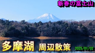 多摩湖周辺散策　新春の富士山