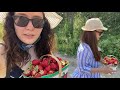 strawberry picking. summer. farm.dishes i ve made 🍓