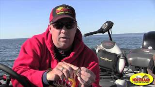 Northland Tackle- Scott Glorvigen Stinger Hook