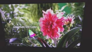 LG UH850v Demo Samsung hdr 10bits