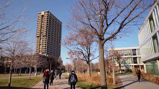The Uic Experience