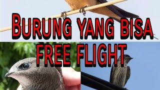 Playtube Pk Ultimate Video Sharing Website