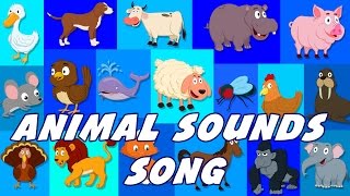Animal Sounds Song | Sounds That Animals Make | Nursery Rhymes
