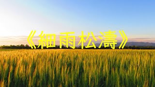 太極拳音樂《細雨松濤》古琴簫，鳥鳴山澗，靜心養心，清幽古琴韻 | 心靈音樂 | 冥想音樂 | 舒緩助眠音樂 | 禪修音樂 | 平靜心情