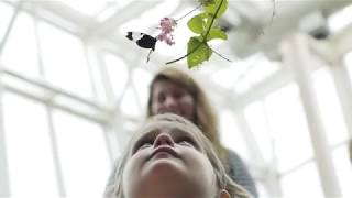 A Minute of Wonder in the Judy Istock Butterfly Haven