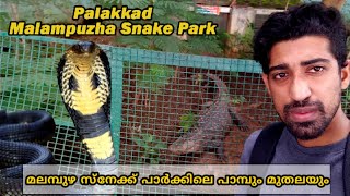 Malampuzha Snake Park | മലമ്പുഴ സ്നേക്ക് പാർക്കിലെ പാമ്പും മുതലയും | #Malampuzha #Palakkad