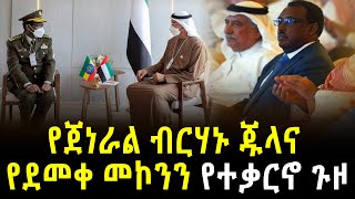 የጀነራል ብርሃኑ ጁላና የደመቀ መኮንን የተቃርኖ ጉዞ... | Ethiopia | Demeke Mekonnen | General Birhanu Jula