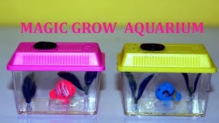 Watch Your Fish Grow !!! Magic Grow Aquarium Toy  Kids Toys Collector KTC