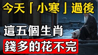 今天「小寒」過後，錢多得花不完的5大生肖！壹生富貴多金！特別是這個生肖！有意外大材之喜！千萬不要錯過！#修行思維 #修行 #福報 #禪 #道德經 #覺醒 #開悟 #禅修