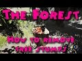 The Forest - How to remove tree stumps