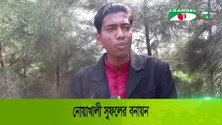 নোয়াখালী সুফলের বনায়ন