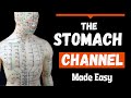 Stomach Meridian (Channel)