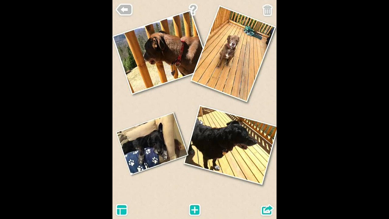 Piccollage Tutorial Youtube