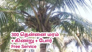 அருமையான 4 ஏக்கர் தென்னந்தோப்பு விற்பனைக்கு | Coconut Farm Land For Sale In Salem District