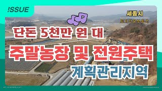 (거래완료) 계획관리지역, 주말농장으로 이용하다가 예쁜 전원주택을 지을 수 있는 곳 #전원주택지매매