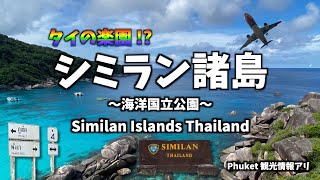 【タイVlog】ここは楽園!?  海の透明感がハンパない！今の時期しか行けないシミラン諸島に行って癒されて来ました♪