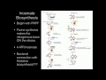 regulation of purine biosynthesis