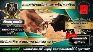 🔴LIVE : #ถ่ายทอดสดวัวชน สนามชนโคบ้านท่าหรั่ง วันที่ 20 มกราคม 2568 #วัวชน #วัววันนี้ #ไลฟ์สดวัวชน